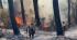 Wildfires break out in three areas of Turkiye