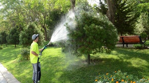 Bu gün Bakıda 546 küçə dezinfeksiya edildi