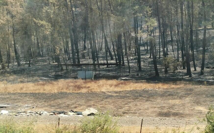 Fire extinguished on Denizli-Marmaris road -