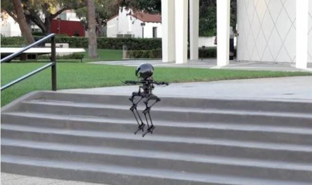 A new era in robotics: Between walking and flying -