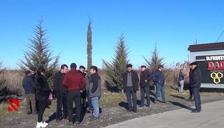 Sakinlər DAD-dan dad edirlər... - Video