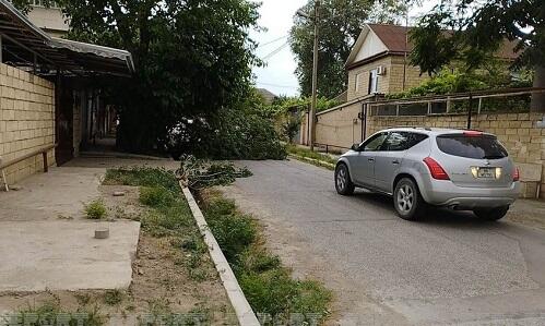 Mingəçevirdə güclü külək ağacları sındırdı, elektrik isə...