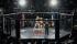 Azərbaycanda MMA döyüşçüsü öldü - Video