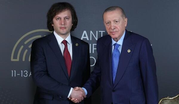 Эрдоган провел телефонный разговор с Кобахидзе