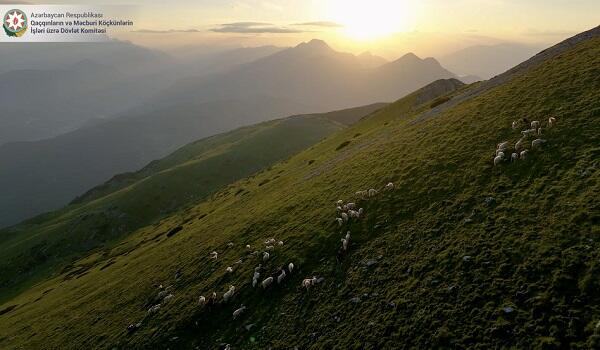 Bu gün Kəlbəcər Şəhəri Günüdür