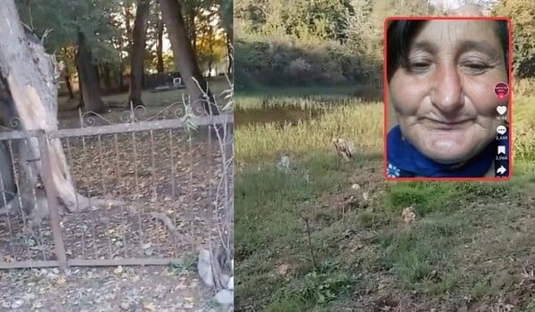 Qərənfil Seymurla evli olubmuş, ördəyi də pay veribmiş... - Video