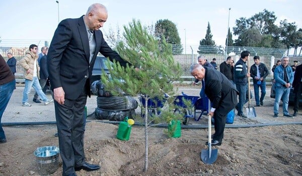 ADSEA tərəfindən 1850 ağac əkildi