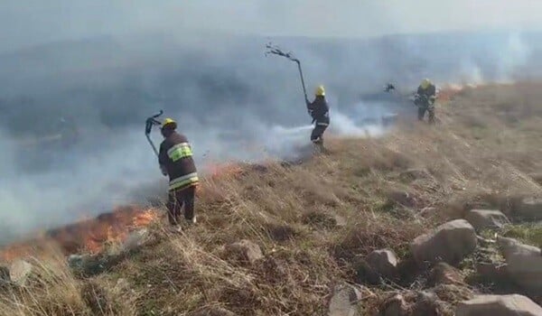 Dağlıq ərazidə yanğın: FHN və hərbiçilər hərəkətə keçdi - Video