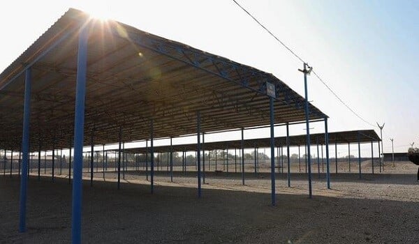 Mal bazarlarının fəaliyyəti bərpa edilir? – Video