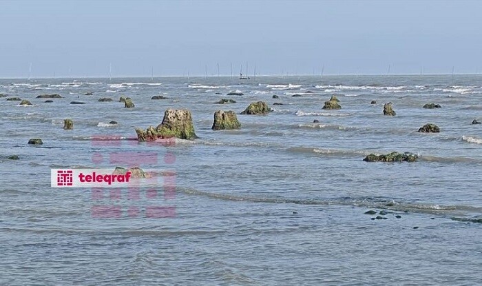 Xəzər geri çəkildi, “itmiş” meşə üzə çıxdı - Foto