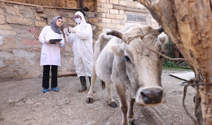 “Daşkəsən və Göygöldə aqrar inkişafa dəstək” layihəsi davam etdirilir