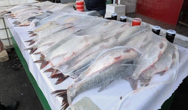 3-cü mikrorayonda yerləşən bazarda nöqsanlar aşkarlandı