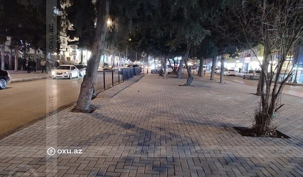 Bu ərazidə ağaclar qırıldı, yerinə daş döşəndi - Foto