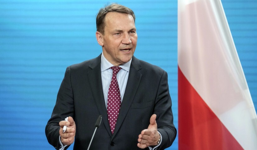 Silahın pulunu biz veririk, masada olmalıyıq - Sikorski