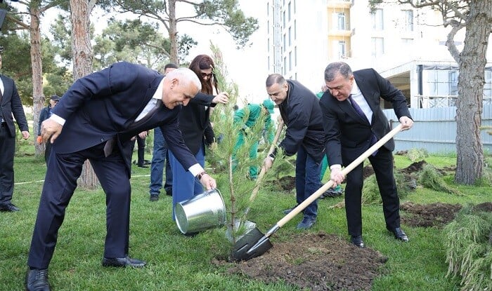Xətaidə ağacəkmə aksiyası - Foto