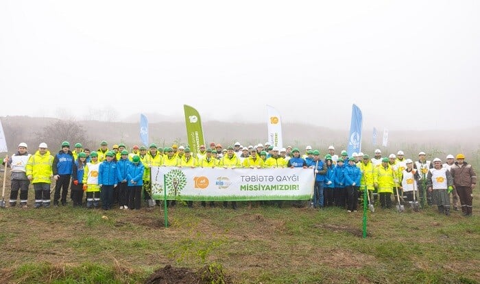 Daşkəsəndə silsilə ağacəkmə aksiyaları keçirildi