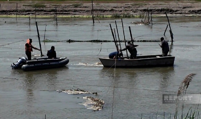 Qanunsuz yerləşdirilən balıq torları yığışdırıldı - Foto