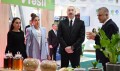 Президент ознакомился с выставкой в Экспоцентре - Фото