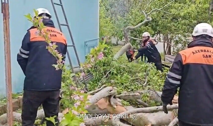 Yağış və güclü küləyin fəsadları aradan qaldırılır - Video
