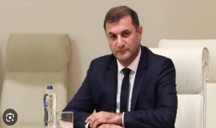 Gürcüstanda DTX-nin yeni rəhbəri təyin edildi
