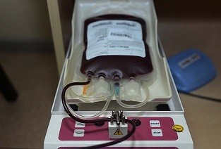 Kanadada 8 günlük qan qaldı