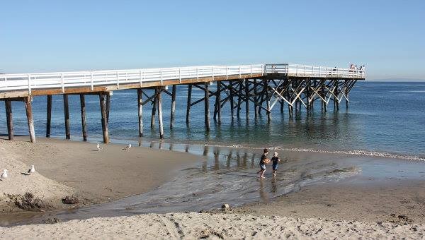 Akulalar Kaliforniya çimərliklərinin bağlanmasına səbəb oldu