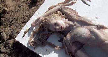 İnanılmaz: İspaniyada su pərisi tapıldı – Video/16+