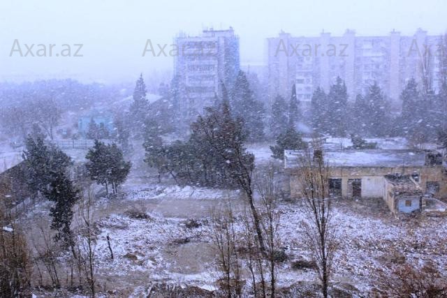 Bakıda qar -  Fotolar