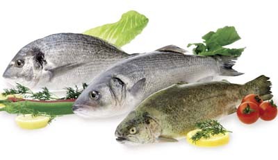 Balıq, yumurta, badam ye, təsirini gör