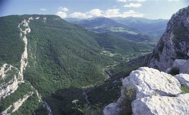 Çin mətbuatı da Qarabağdan yazdı