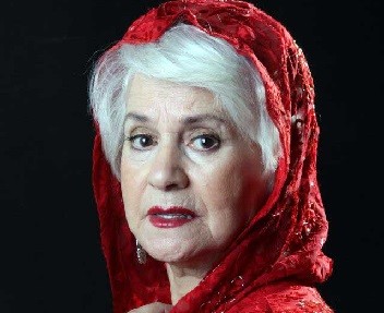 “Leyla xanım mənə şillə vurdu, çaşdım...”