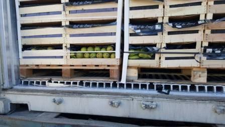 Gömrük 44 ton armudu saxladı – Səbəb/Foto