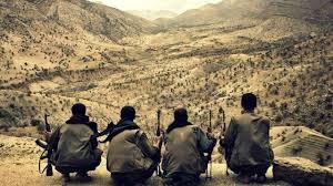 PKK-dan növbəti terror: 2 şəhid