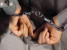 Samuxda inək və qoyun oğurlayanlar tutuldu