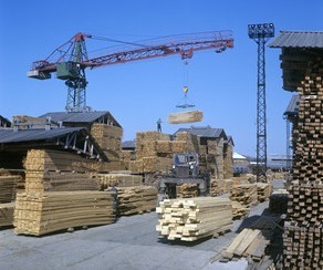 Sex rəisi faciəli şəkildə öldü