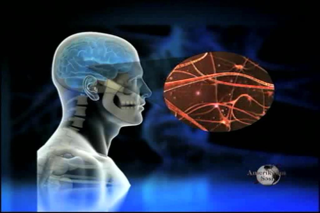 Beyin necə bərpa olunur? - Kəşf