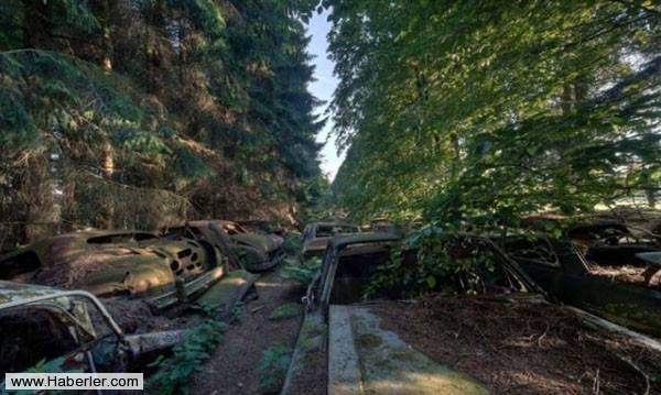 وطن منه اوغول دئسه نه دردیم، مامیر اولوب قایاسیندا بیتردیم