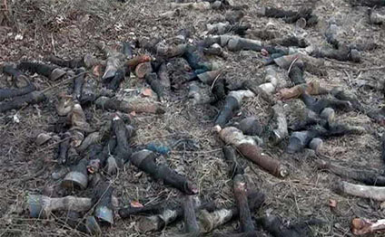 Bakıda da at və uzunqulaq qalıqları tapıldı