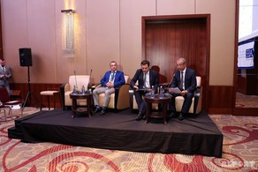 Iraqi and Iranian gas transport may join TANAP