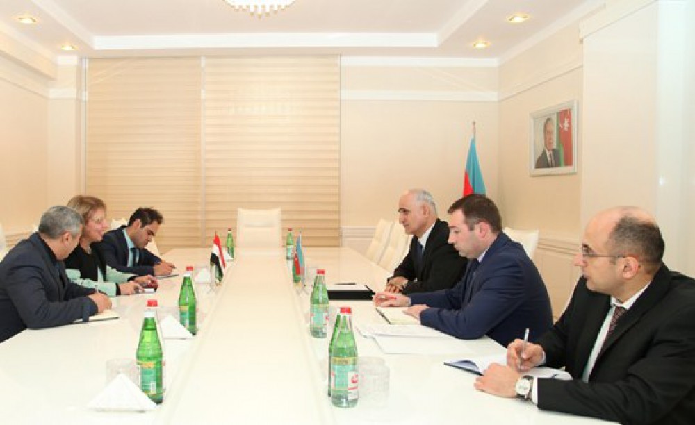 Azerbaijan, Egypt discuss ties in economic field