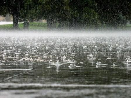 Weather forecast for Sunday