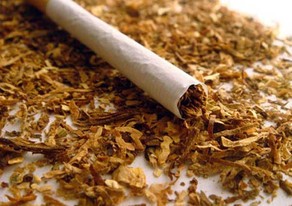 Azerbaijan increases tobacco export
