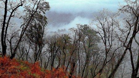 Hirkan National Park (Video)