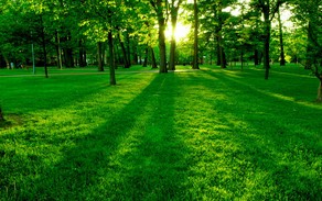Weather forecast for May 4