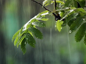 Weather forecast for May 19