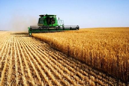 Azerbaijan to be able to provide itself with grain
