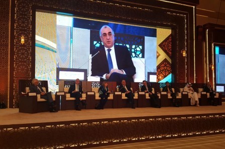 Azerbaijani FM addressed the plenary session