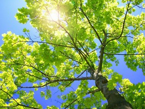 Weather forecast for May 27